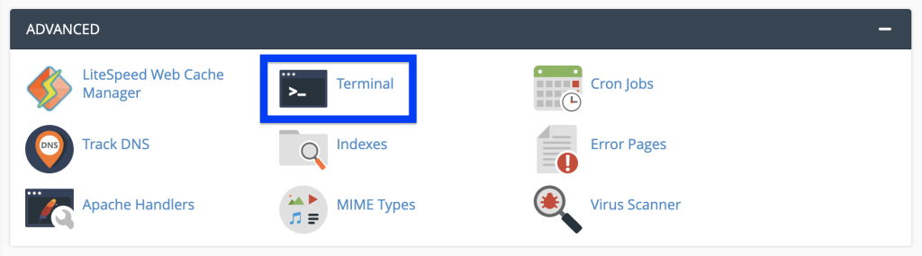 cPanel dashboard outlining the Terminal option